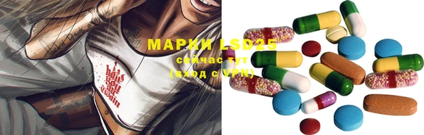 крисы Белоозёрский