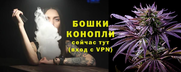 крисы Белоозёрский