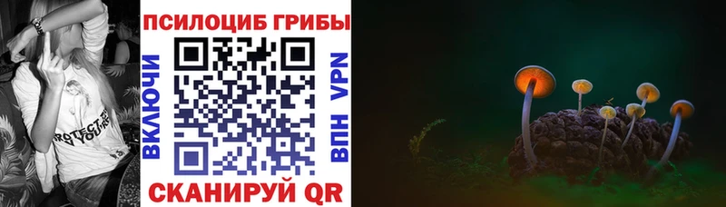 Галлюциногенные грибы GOLDEN TEACHER  наркотики  Кимры 